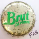 Brut de pomme